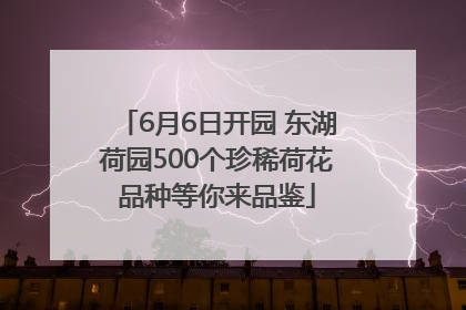 6月6日开园 东湖荷园500个珍稀荷花品种等你来品鉴