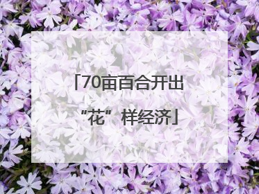 70亩百合开出“花”样经济