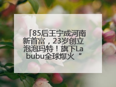 85后王宁成河南新首富，23岁创立泡泡玛特！旗下Labubu全球爆火“一娃难求”
