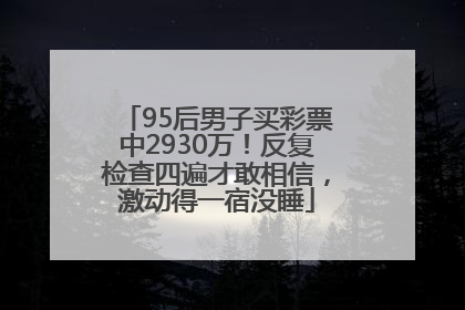 95后男子买彩票中2930万！反复检查四遍才敢相信，激动得一宿没睡