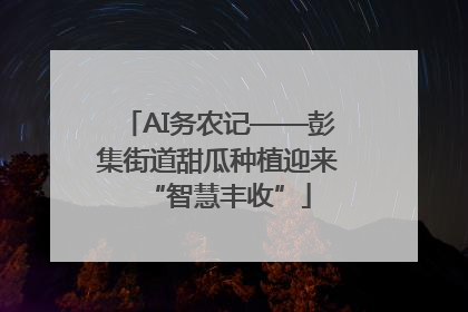 AI务农记——彭集街道甜瓜种植迎来“智慧丰收”