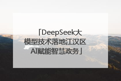 DeepSeek大模型技术落地江汉区 AI赋能智慧政务