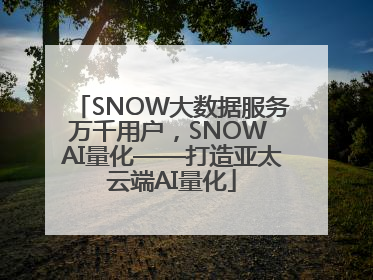SNOW大数据服务万千用户，SNOW AI量化——打造亚太云端AI量化